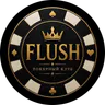 Логотип FLUSH