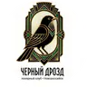 Логотип Черный Дрозд